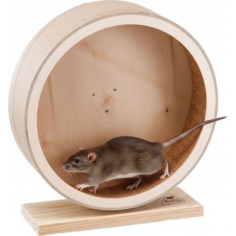 Roue d'exercice en bois pour cochons d'Inde – Jouet en bois adapté aux souris, chinchillas et cochons d'Inde – Diamètre de 20 cm, hauteur de 23 cm (1/5)