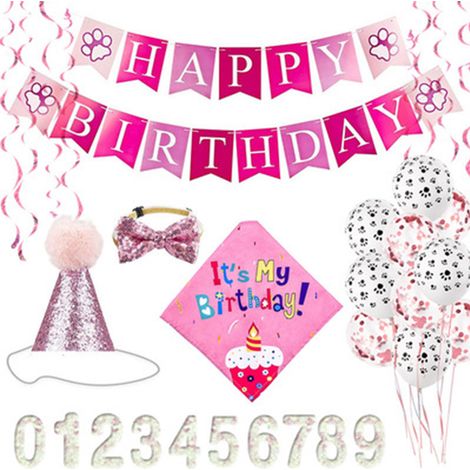 Fournitures pour fête d'anniversaire de chien : chapeau d'anniversaire pour animal de compagnie et bandana pour chien mâle