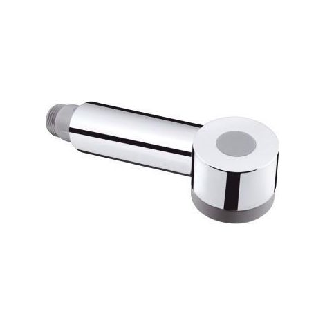hansgrohe Ausziehbrause für Talis S Küchenmischer, Edelstahl Optic