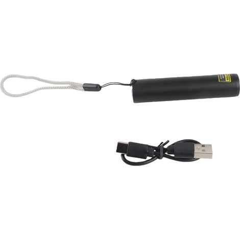 Lampe torche UV compacte 3W 365nm rechargeable USB, détecteur d'urine d'animaux domestiques (chien, chat, taches sèches) (1/5)