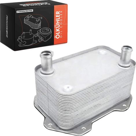 Enfriador de aceite de aluminio, compatible con motores de 4.2L, apto para vehículos refrigerados por agua, OEM 420117013E, 420117022A (1/5)
