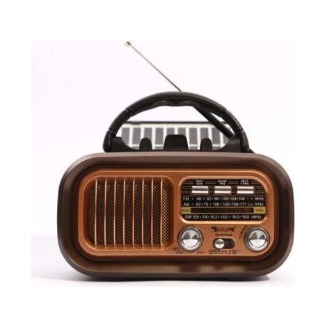 AM/FM Retro Portable Radio - Vintage Shortwave Transistor - Powerful Speaker - USB or D Battery Powered - Bluetooth/TF Player (Copper Plated) (1/4)