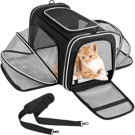 Sac de transport pour animaux de compagnie avec tapis pour animaux de compagnie, sac de transport pour chien, sac de transport pour chat, sac à dos pliable pour animaux de compagnie (1/5)