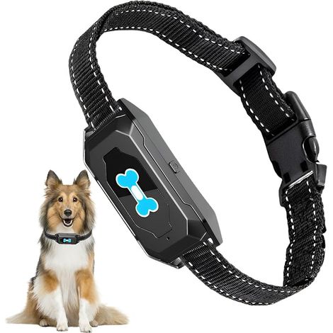 Collier Anti Aboiement Chien Mode Son/Vibration, Colliers Anti-Aboiement à Détection Intelligente des Aboiements Collier Vibrant Rechargeable Sangle Réglable pour Chihuahua Petit Gros Chien Puppy (1/5)
