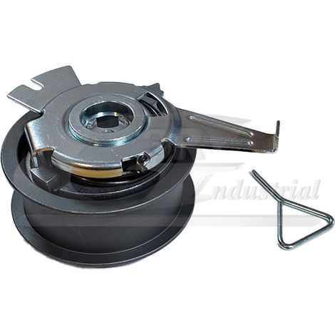 3RG 13752 RODILLO TENSOR