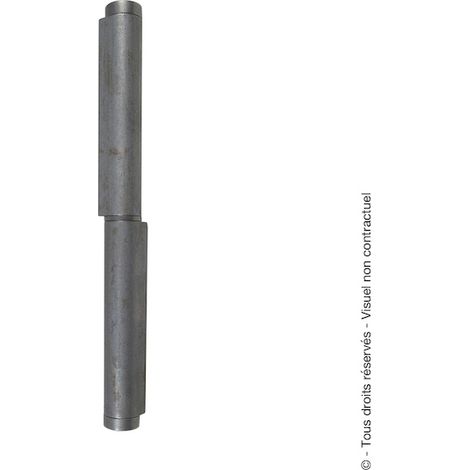 Paumelle à souder à ressort - 250 mm - FAURE ET FILS
