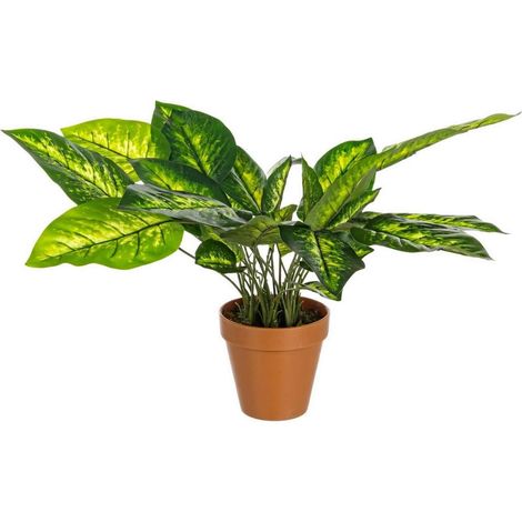 Pianta artificiale "Dieffenbachia" con vaso in plastica, 30x30x45h cm (1/2)