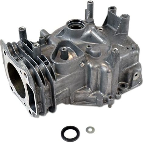 Assieme cilindro motore con coppa olio inclusa originale BRIGGS & STRATTON