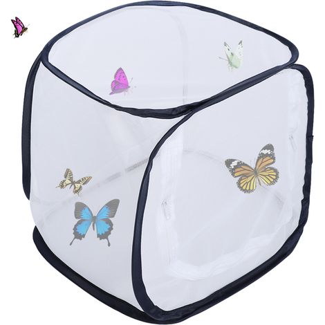 Grande cage d'élevage pliable, portable, durable et ventilée pour papillons (1/5)