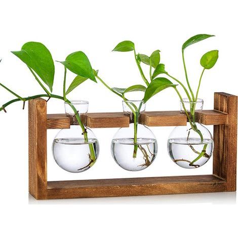 Station De Propagation 3 Pcs Ampoule Vase D'avocat Vase En Verre De Gland Pour Fleurs Terrarium Pot Planteur Avec Support De Support En Bois Pour Plantes D'eau Verte Adapté Pour La Maison Cuisine Tabl (1/4)