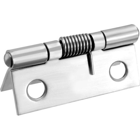 5pcs Selbstschließendes Feder Scharnier 38mm Edelstahl DIY Hardware für Tür Kabinett DE (1/5)