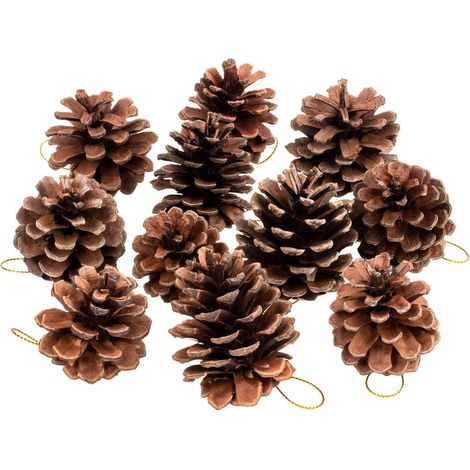 Lot de 30 pommes de pin, décorations naturelles avec ficelle, ornements rustiques pour intérieur, décoration automne et Noël (1/5)