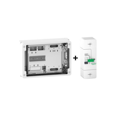 Schneider - Disjoncteur de branchement EDF Instantanu00e9 60A 500mA + Platine disjoncteur 18M - Ru00e9f. : R9FT660+R9H18416 (1/3)
