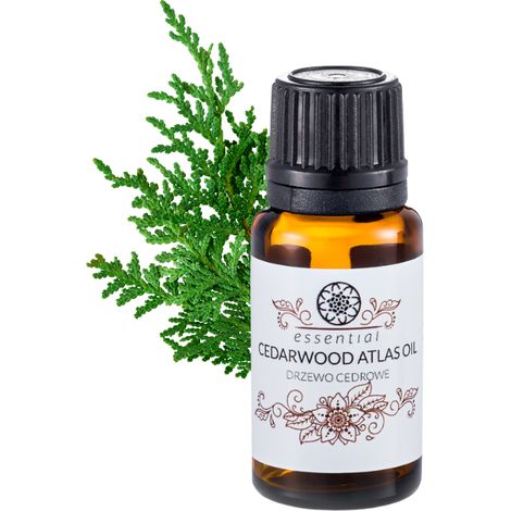 Yasmeen - Profumo d'Oriente Olio essenziale di legno di cedro 15 ml (1/3)