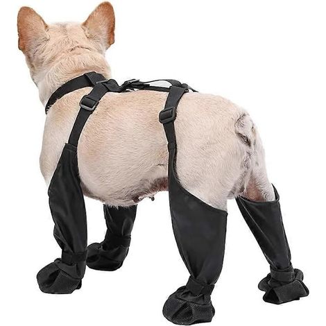 Bottes pour chien imperméables et anti-salissures avec bretelles, antidérapantes, idéales pour l'hiver et la neige en extérieur, taille M. (1/5)