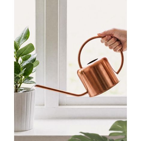 Arrosoir pour Plantes d'intérieur, Petit arrosoir avec Long Bec, arrosoir en métal pour intérieur en Or Rose pour Un contrôle précis du débit (1/5)
