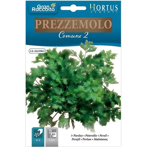 Prezzemolo Comune 2 - Hoch ertragreiche Petersilie für Garten und Topf