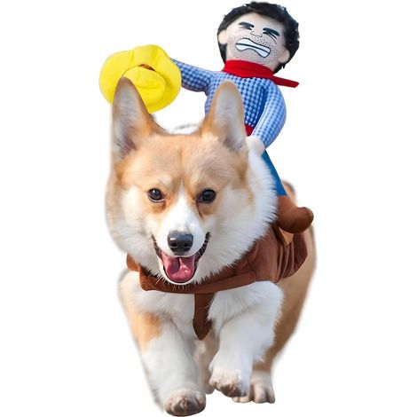 Manteau pour chien - Vêtements pour animaux - Tenue de cowboy pour chien - Vêtements pour animaux - Manteau pour chien - Costume de cowboy pour chien - Vêtements pour animaux - Tenue pour animaux - MV (1/5)