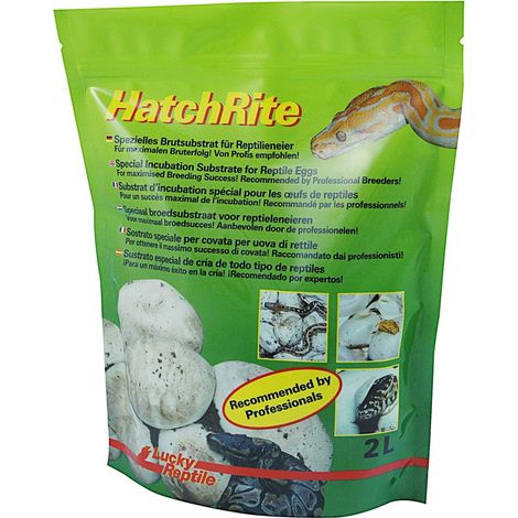 Lucky Reptile - HatchRite 2 L, Substrat d'incubation spécial pour les œufs de reptiles