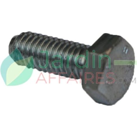 Vite Uni 5739 M 6 x 16 Delmorino 40100087