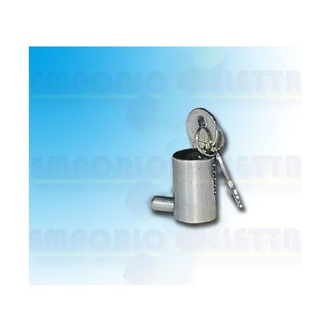 CAME 001KR001 KR001 Ersatz-Din-Schließzylinder mit Schlüssel (1/3)