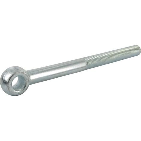 Vite a occhiello BM16x200xb100 D2:16,1 LEMKEN 3010864