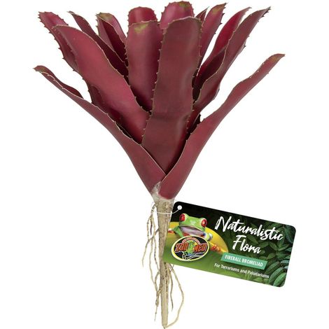 Naturalistic Flora Fireball Bromeliad