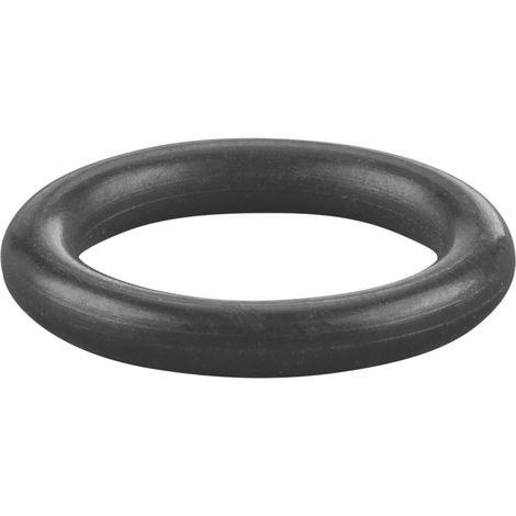 Rems O-Ring 060259