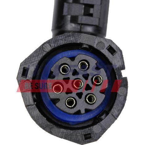 Cablaggio lampada rapida FT76108 POSTERIORE DESTRO (1/2)