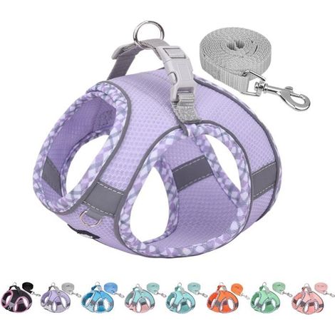 Harnais pour Petit Chien,Harnais Anti-Traction pour Chat avec Laisse,Harnais réglable pour Chien,Gilet d'extérieur Chiens Violet