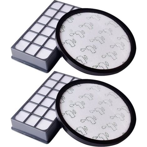Filtre de Remplacement - Rowenta - X-Trem Power Cyclonic - Lot de 2 - Pré-Moteur + Hepa - Compatible RO69XX (1/4)