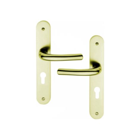 Ouvre&Déco – Poignée de porte d'entrée PIANOSA – Aluminium F2 – Entraxe 195 mm – Compatible clé I – Résistance accrue aux effractions