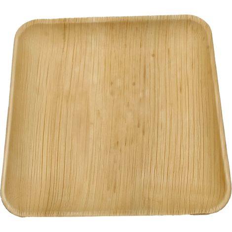 10 assiettes à dessert réutilisables