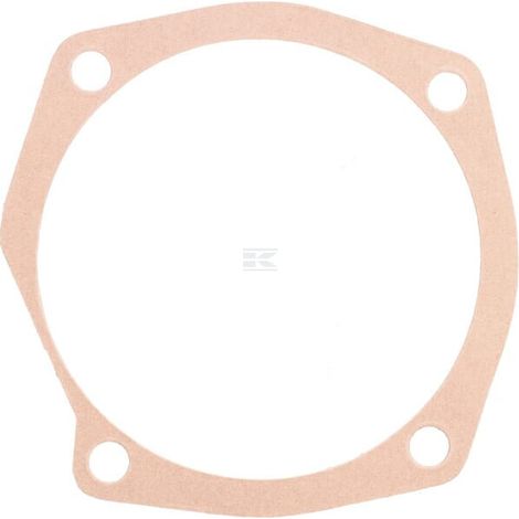 Guarnizione 0,5 mm Maschio MASCHIO M13100126R