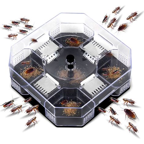 Boîte de pièges à cafards utiles, piège à insectes domestique réutilisable, tueur pour la cuisine. (1/5)