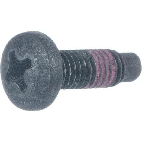 Schraube BRIGGS ET STRATTON 790029