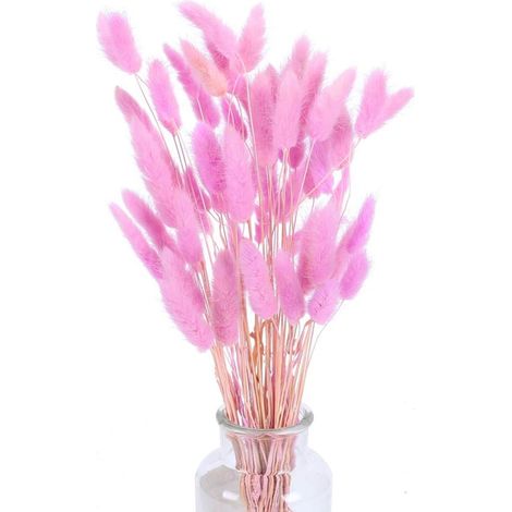 Pampas Grass - Rabbit Tail Grass - 45 Cm - Natural Dried Flower Stems - For Wedding Decor Home Decoration Christmas Wreath - 60 Pieces (1/5)