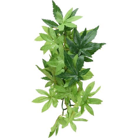 Plante Artificielle Ficus - 1 Unité - Soie - Décoration Réaliste - Terrarium Reptiles Amphibiens - Taille Moyenne (1/4)