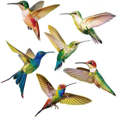 Fenêtre D'Autocollant Anti-Collision 6 Pièces Autocollant de FenêTre de Colibri Oiseaux Stickers Pour FenêTre Autocollant Verre Decal Anti-Collision FenêTre Cling Pour PréVenir des Oiseaux Strikes (1/5)