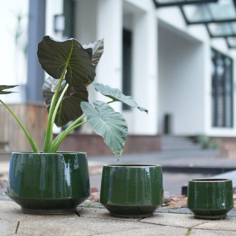 Lot 3 pots céramique – Ø38,1/28/22,9cm – Émail vert foncé – Figuiers – Fenêtre – Faïence respirante (1/5)