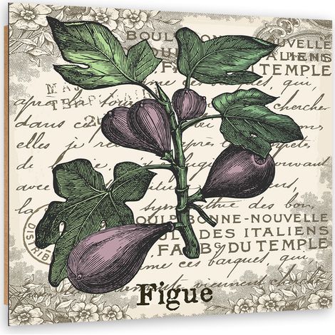 Quadro deco panel, Fichi vintage - 60x60 (1/5)