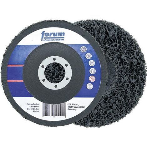 Forum Grobreinigungsscheibe mit Teller, 125 mm