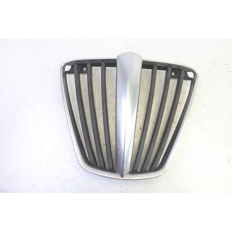 GRILLE RADIATEUR PIAGGIO MP3 250 2006 - 2010 (1/5)