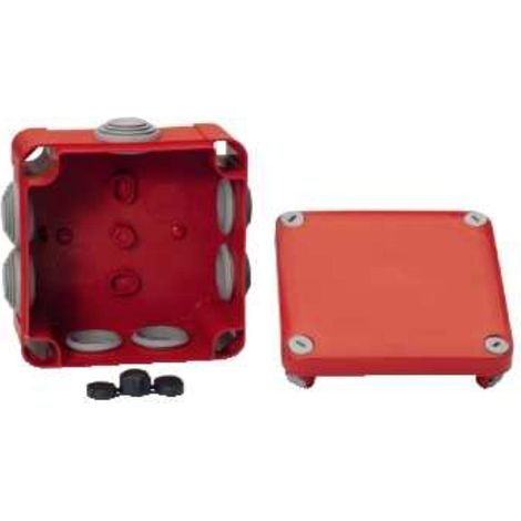Scatola di derivazione Schneider mureva box IP55 105x105 mm