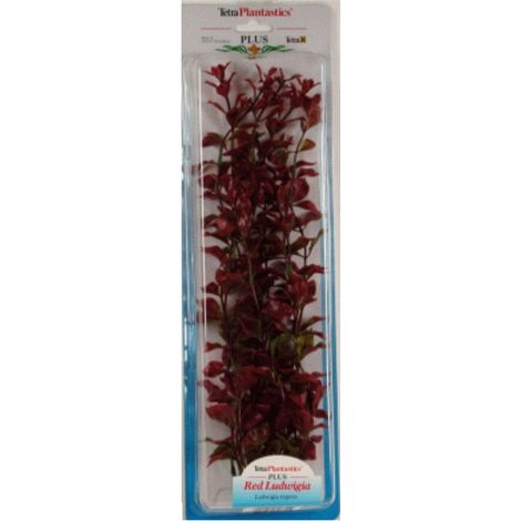 PLANTA RED LUWIGIA PLUS 28-33 CM.