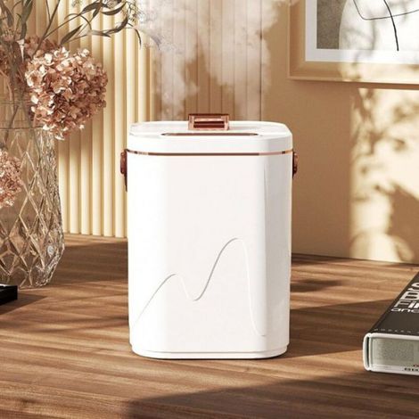 Humidificateur d’air portable ultrasonique rechargeable, double buse pour brume chaude et froide, usage polyvalent (1/5)
