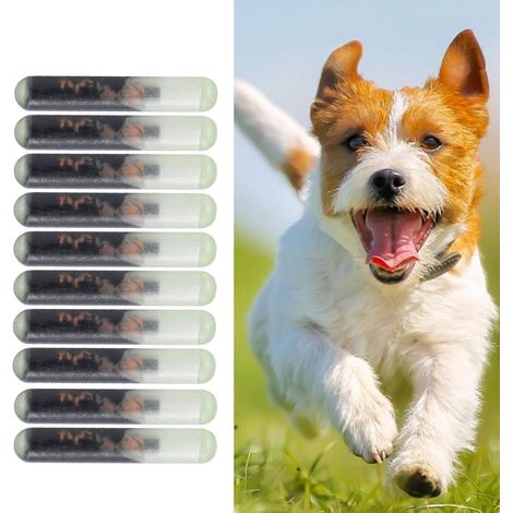 Micropuce d'identification canine, 10pcs / set 2.12mm verre PET Chip standard animal Chip implant pour l'identification (1/5)
