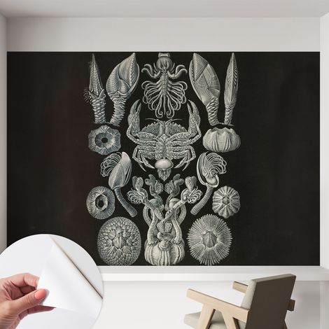 Carta da parati autoadesiva - Fotomurale adesivo - design elegante - stile moderno - Forme sottomarine 152x104 cm (1/5)