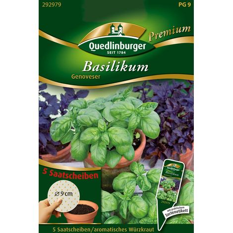 Quedlinburger Saatgut – Basilic Genovese – Graines d'herbes aromatiques, disques de semis, pour 5 pots (1/2)