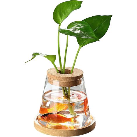 Vase Hydro en verre 330ml avec support bambou et bouchon liège perforé - Lot de 2 unités (1/5)